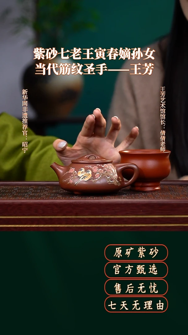 茶壶紫砂13送主人杯+书