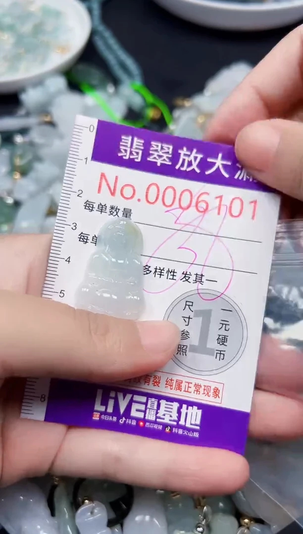 颈饰未镶嵌翡翠6101