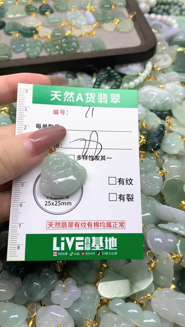 颈饰未镶嵌翡翠纯天然缅甸A货翡翠-71