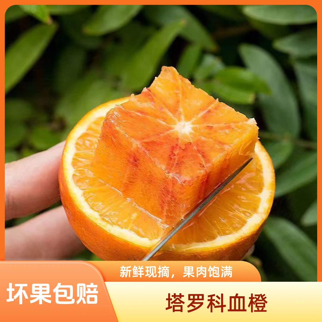 【次日达】农村自家种的老牌塔罗科血橙巨乡音 ，到手5斤