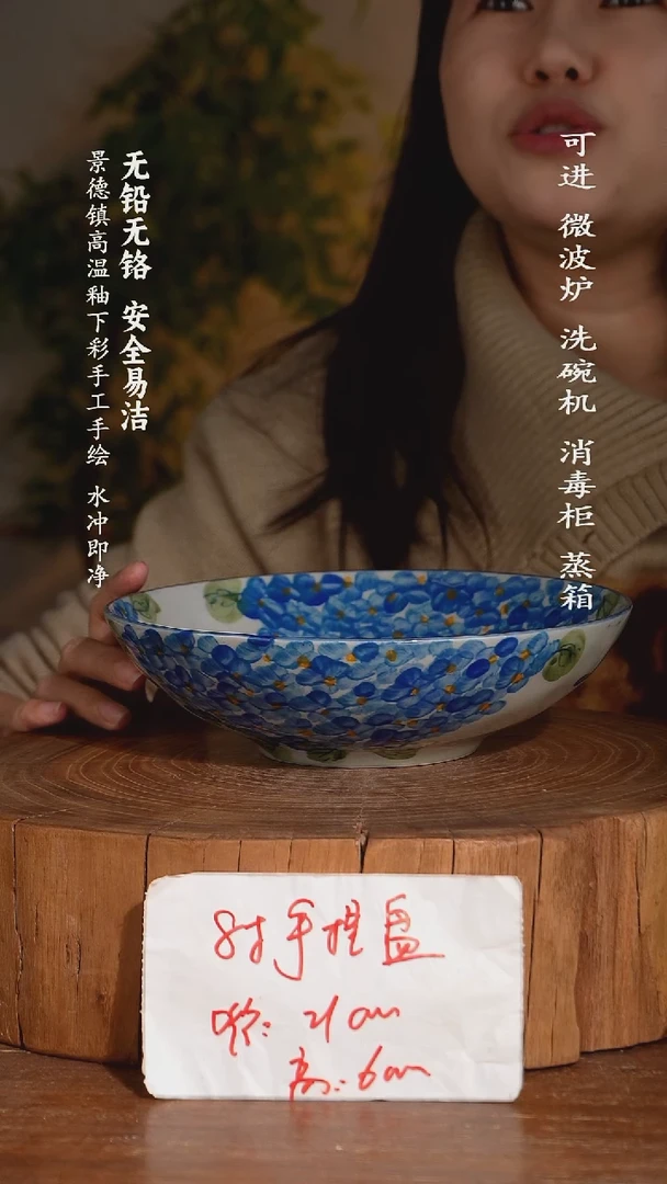 碗瓷景德镇高温瓷釉下彩手绘陶瓷