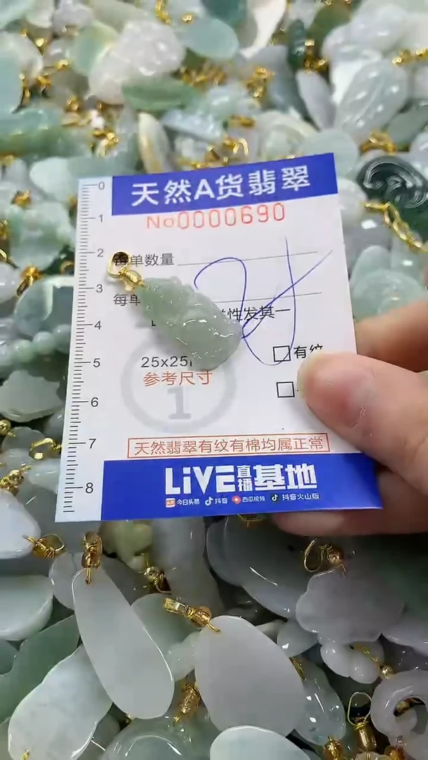 颈饰未镶嵌翡翠纯天然a货翡翠