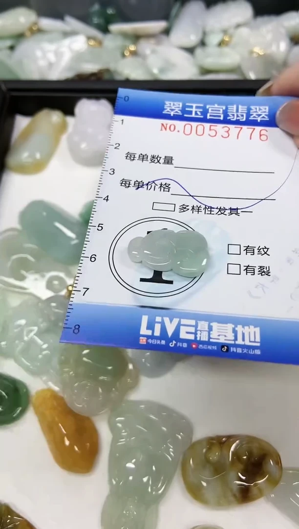 【闪购商品】翡翠颈饰未镶嵌闪购0053776