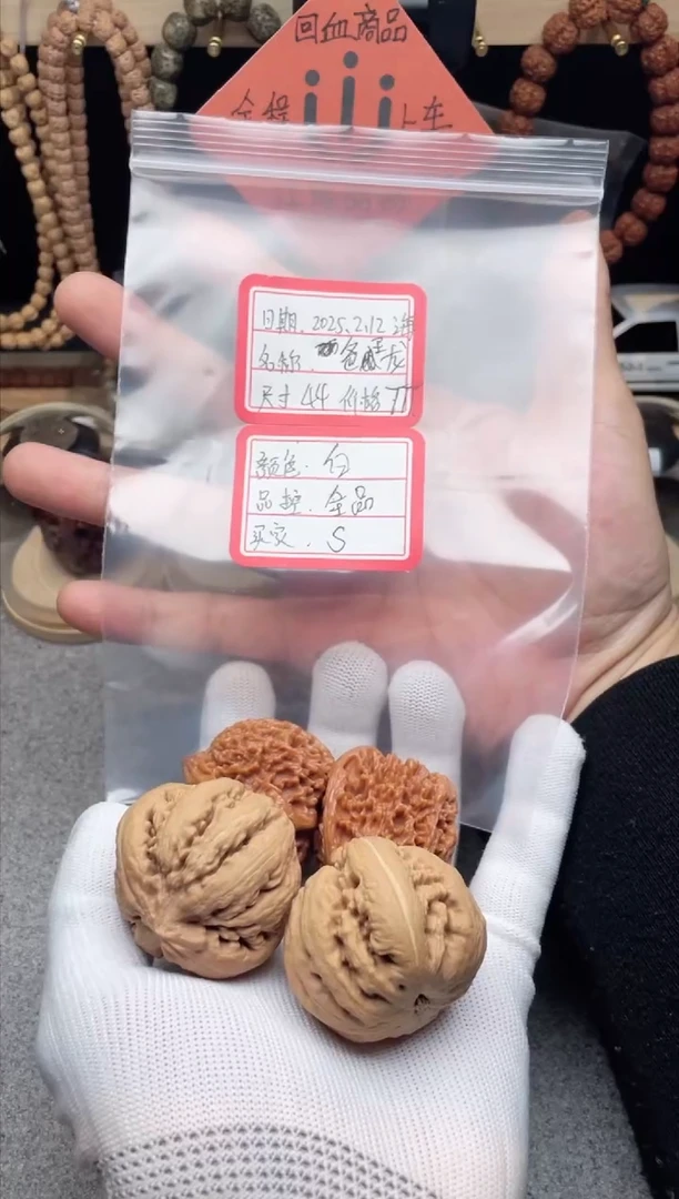 【闪购商品】文玩核桃把件霸王龙（满天星）