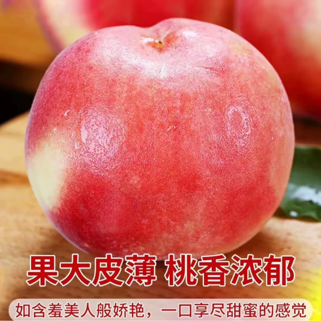 2025年水蜜桃新鲜现摘鲜甜多汁软硬两吃水果带箱约5斤