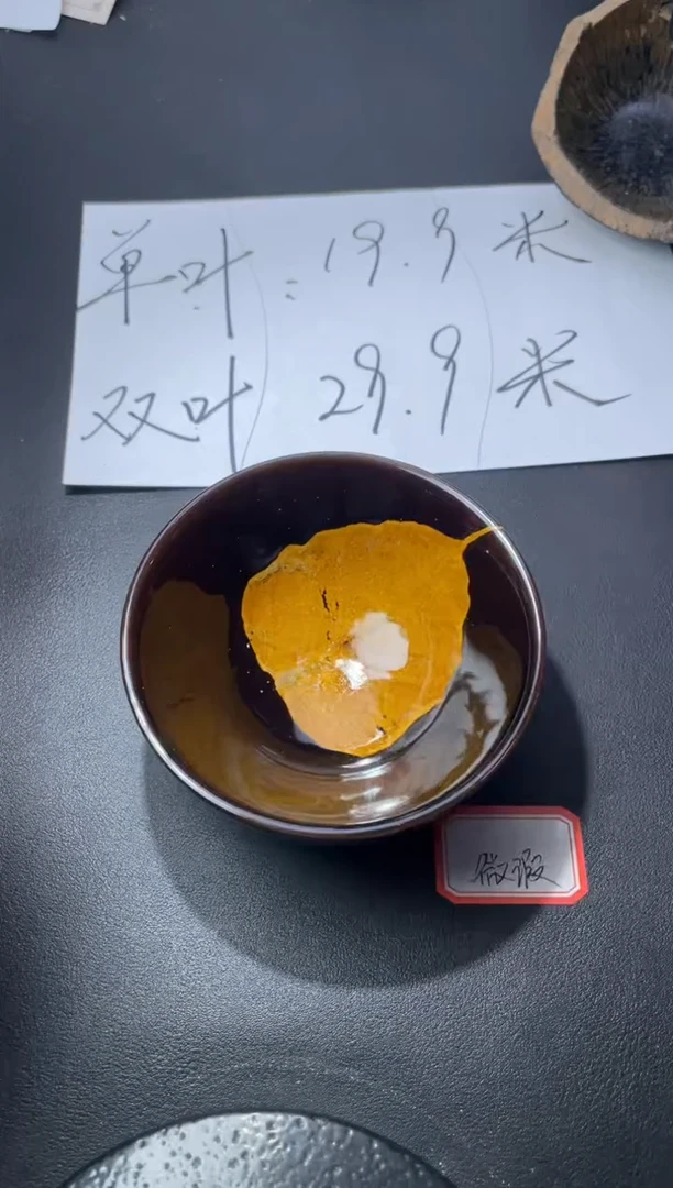 茶盏122（微瑕）叶紫建盏