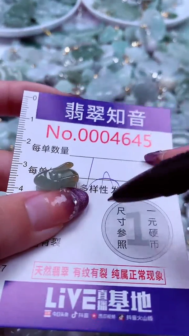 翡翠未镶嵌吊坠(不含链)4645