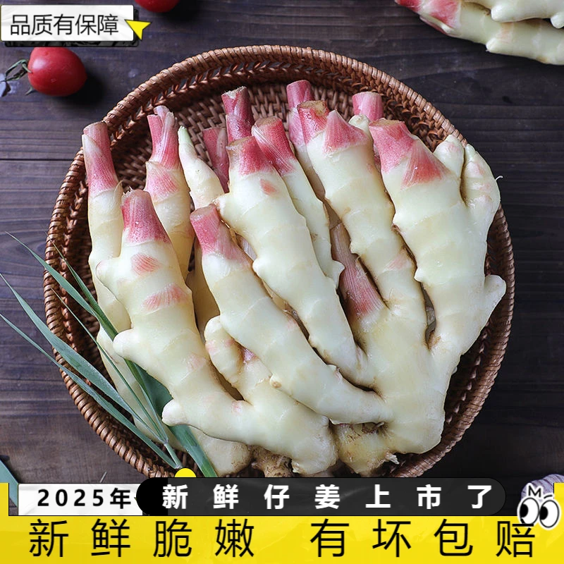 四川嫩仔姜嫩姜仔姜批发半斤新鲜嫩生姜姜嫩正宗生姜姜芽新鲜生姜