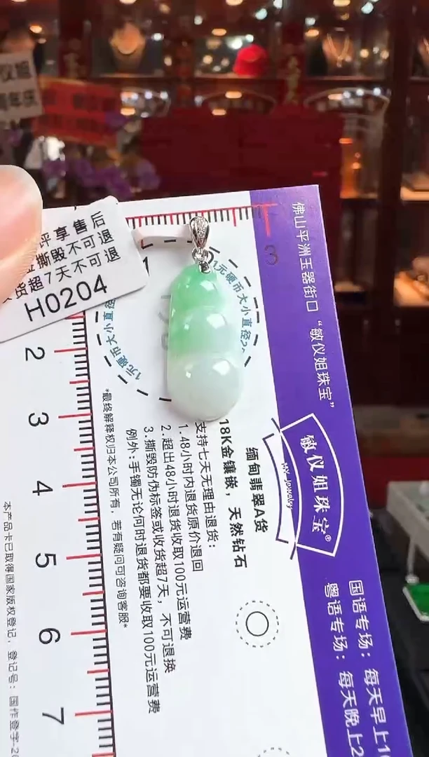 翡翠未镶嵌颈饰H0204富贵豆