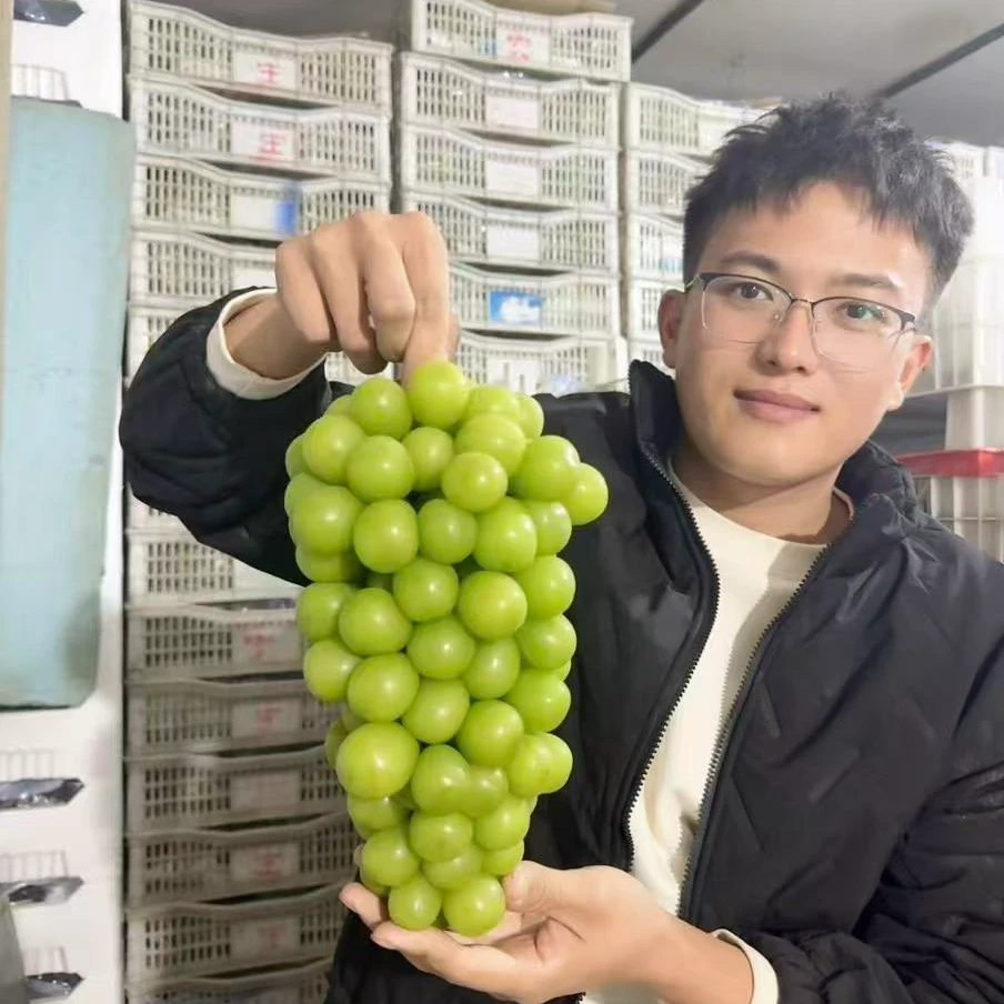 【次日达】精品晴王葡萄新鲜大粒辽宁省