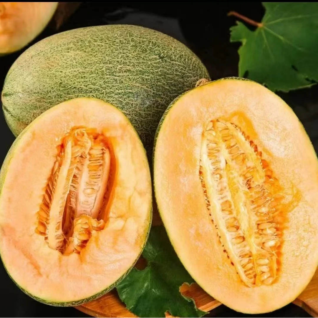 海南西州蜜小蜜25哈密瓜新鲜脆甜多汁当季应季水果现摘整箱直发吉林省