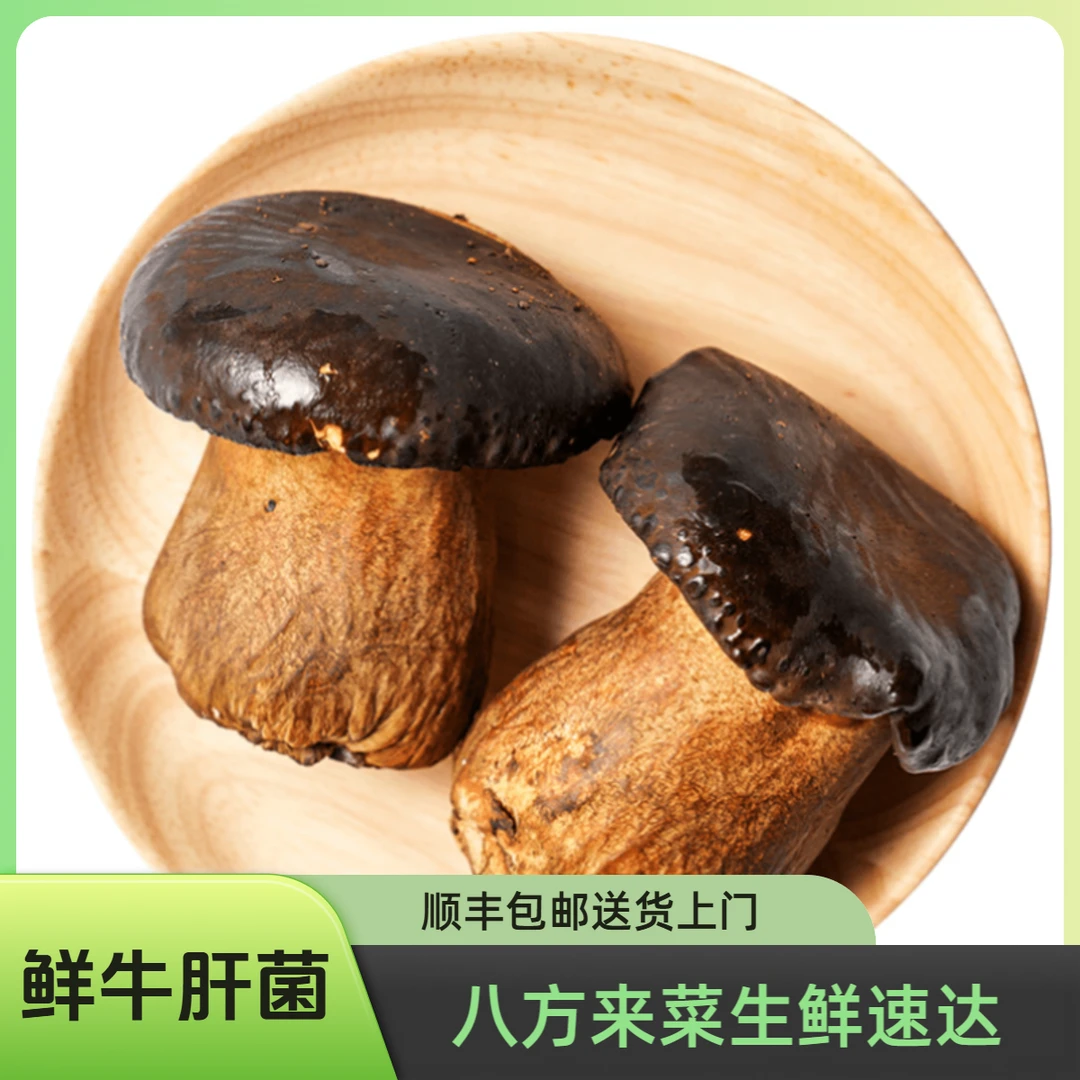 新鲜牛肝菌 约150g/盒牛肝菌