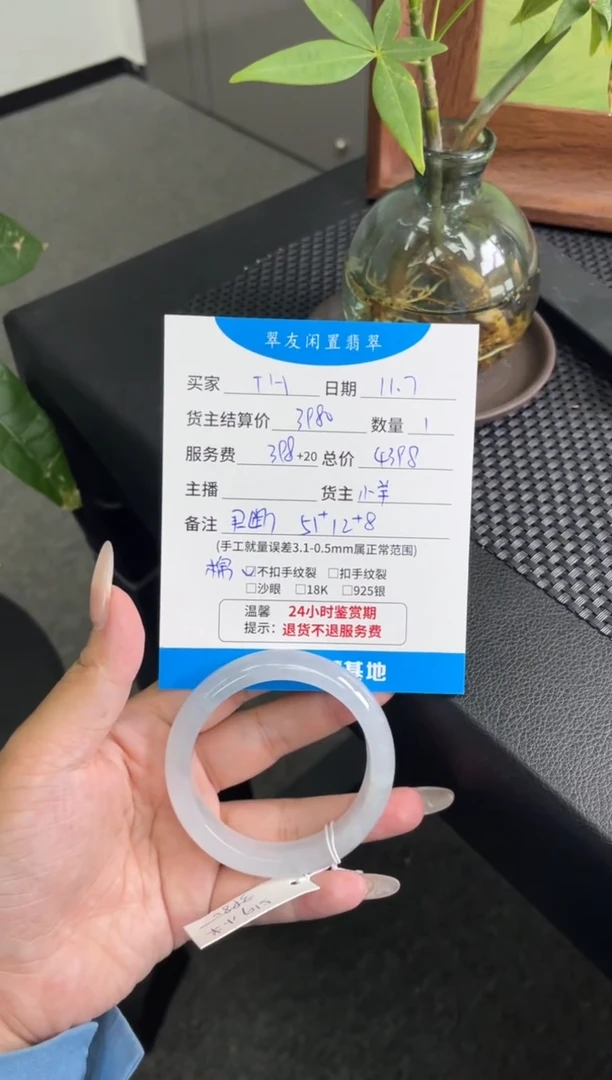 未镶嵌手镯翡翠T****k手镯