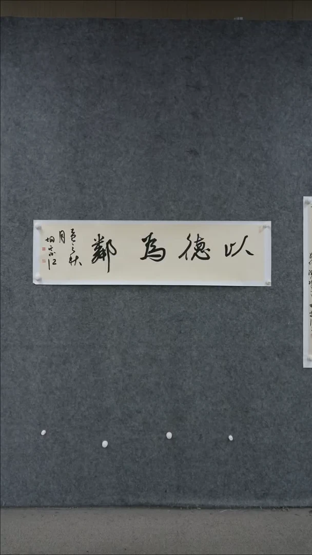 书法书法HZJ老师作品