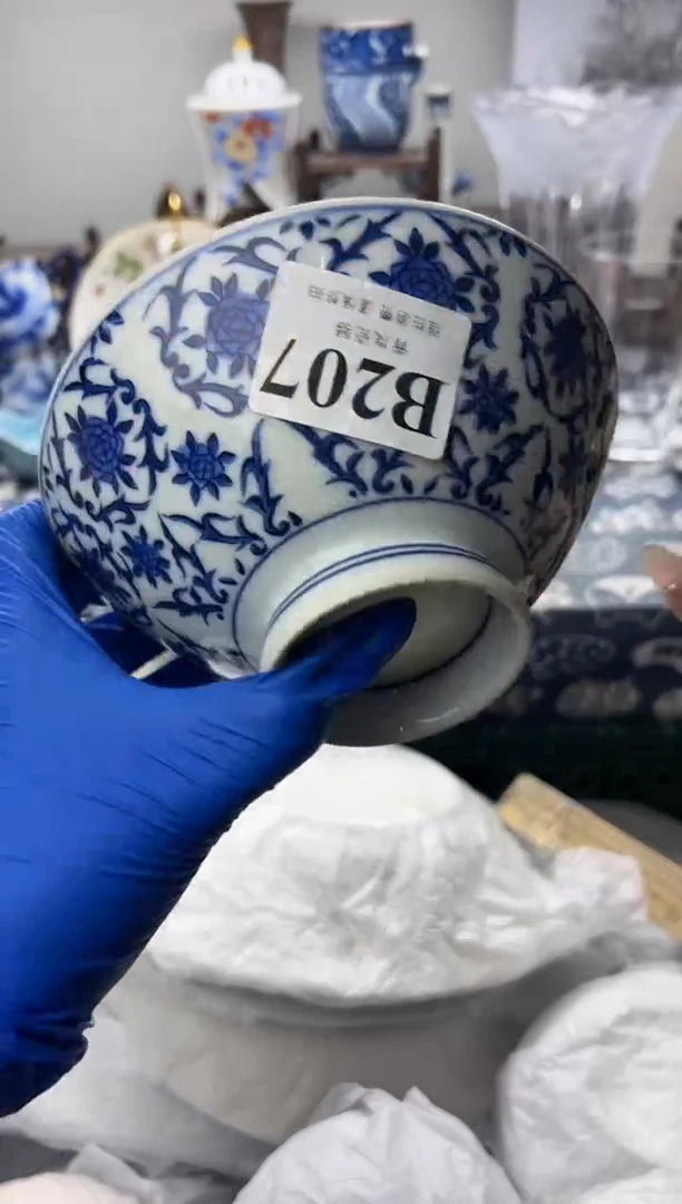 瓷片蔡****1   B207