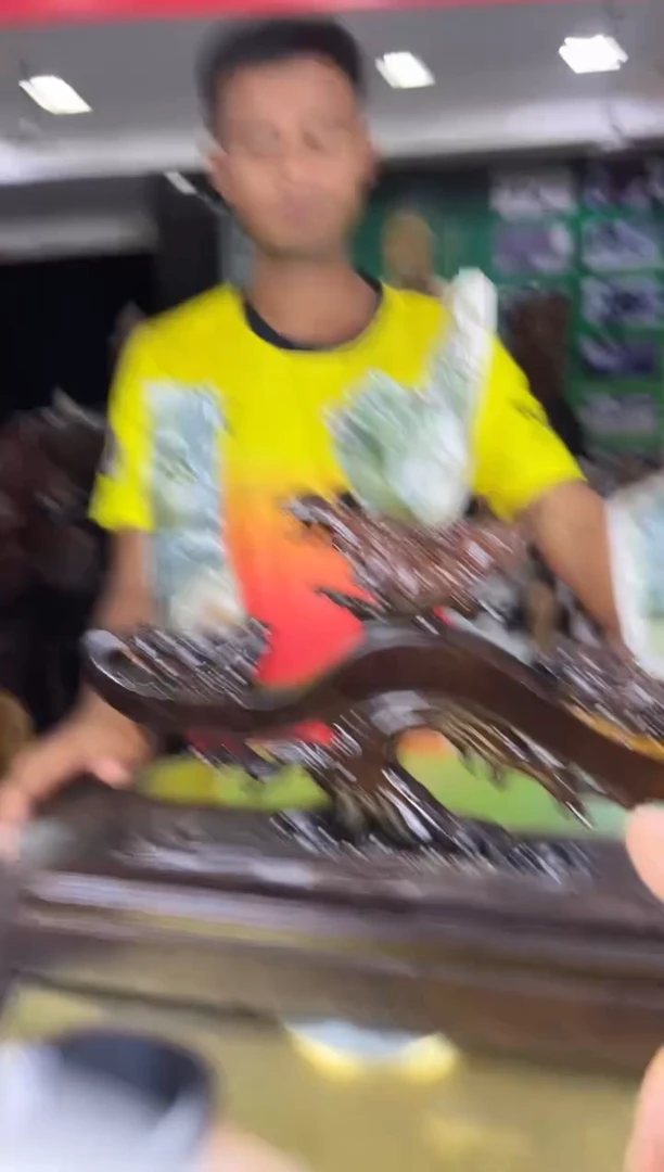 硅化玉珠宝奇石未镶嵌缅甸天然树化玉摆件