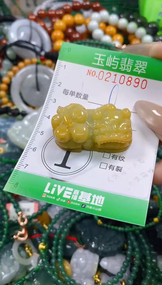 颈饰未镶嵌翡翠闪购0210890