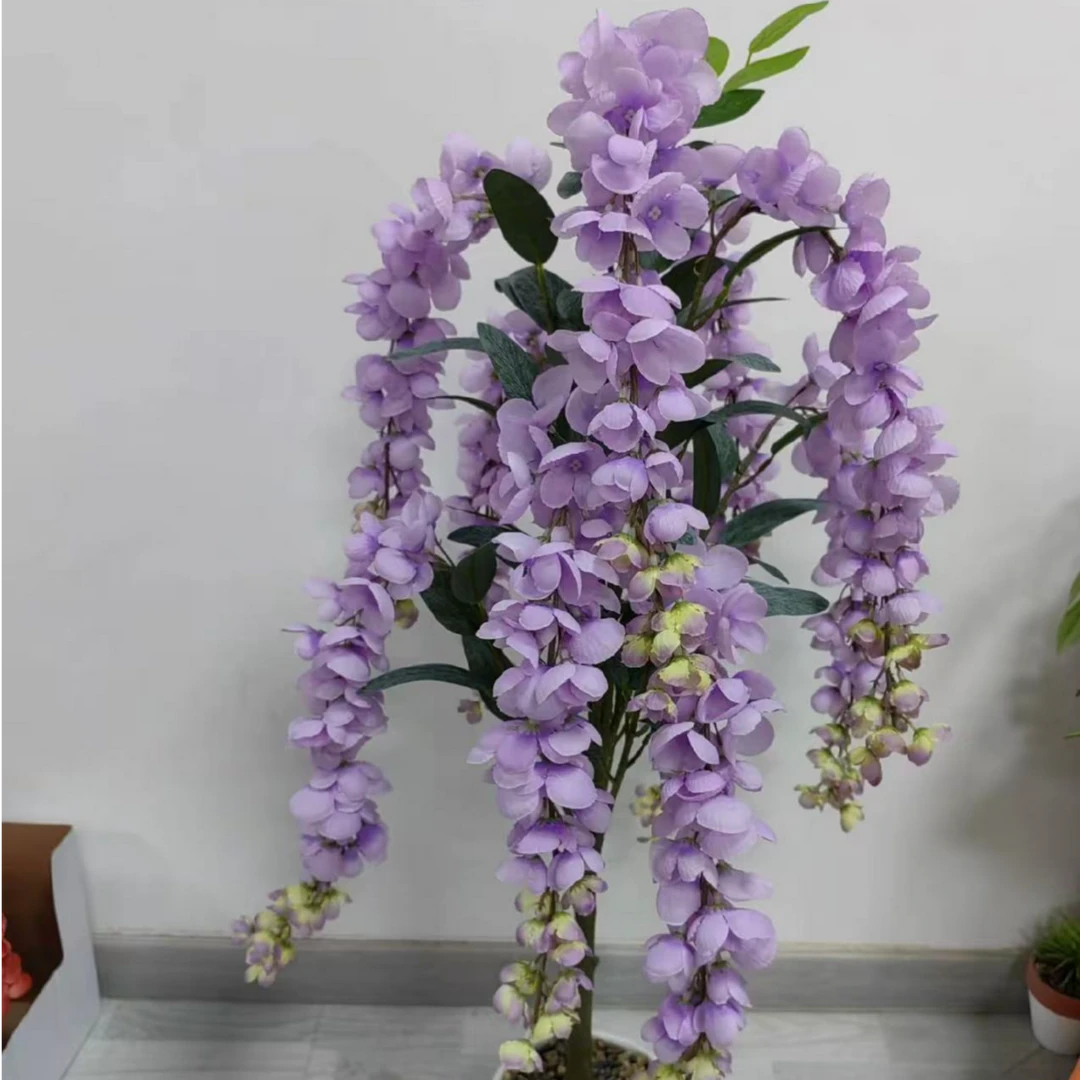 蓝花藤基地直发木质藤本植物南方四季开花特大号月季花