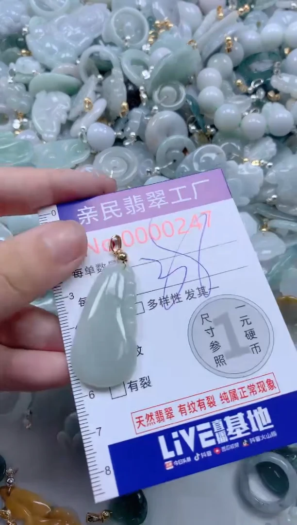 翡翠未镶嵌颈饰247