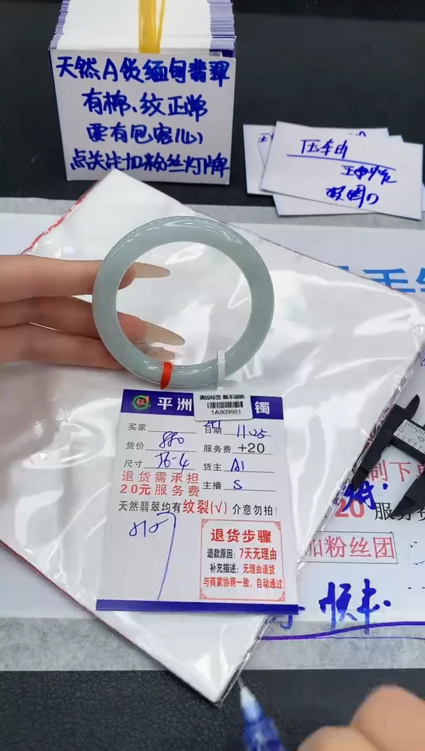 未镶嵌手镯翡翠1