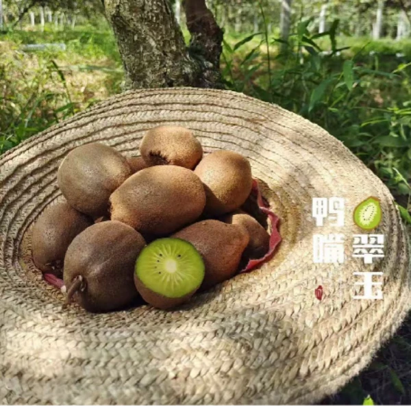 金寨鸭嘴翠玉猕猴桃绿心香甜多汁当季新鲜水果