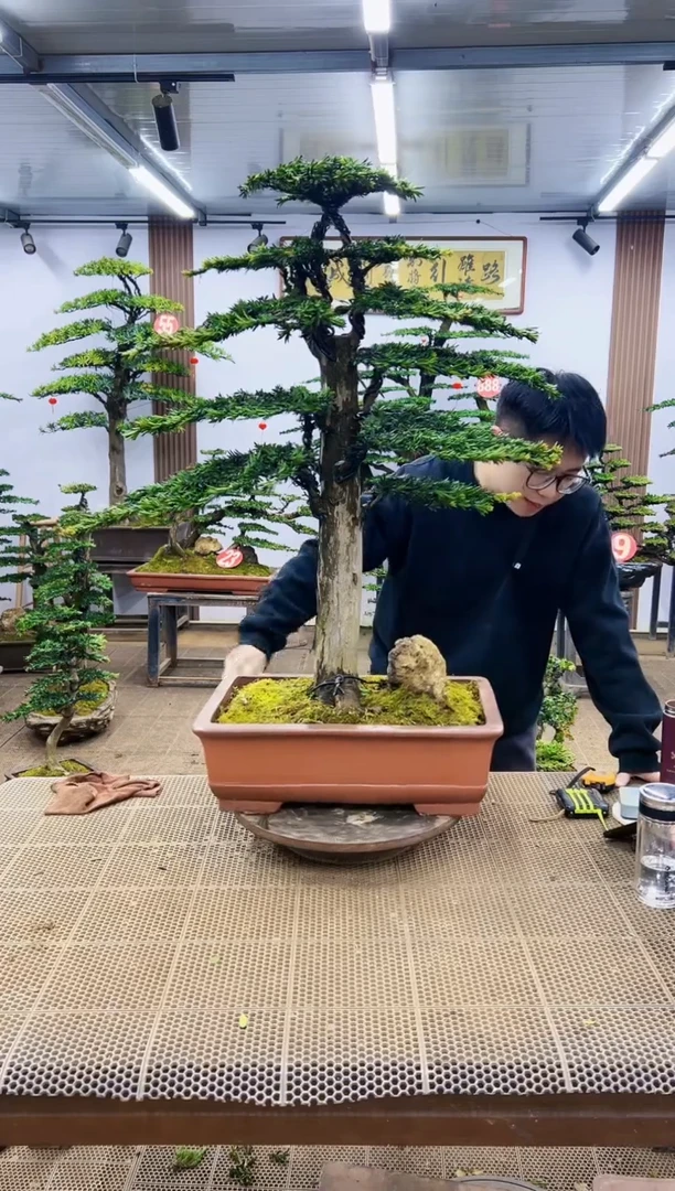 【闪购商品】一物一拍，所见即所得