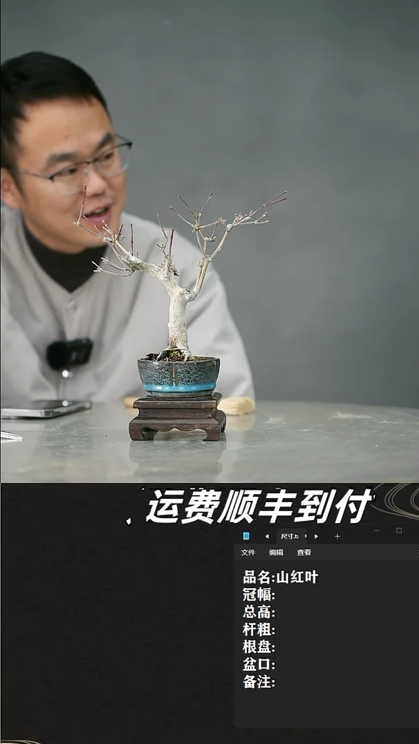 【闪购商品】22 山红叶