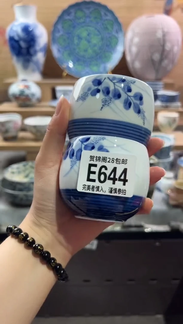 瓷片         E644