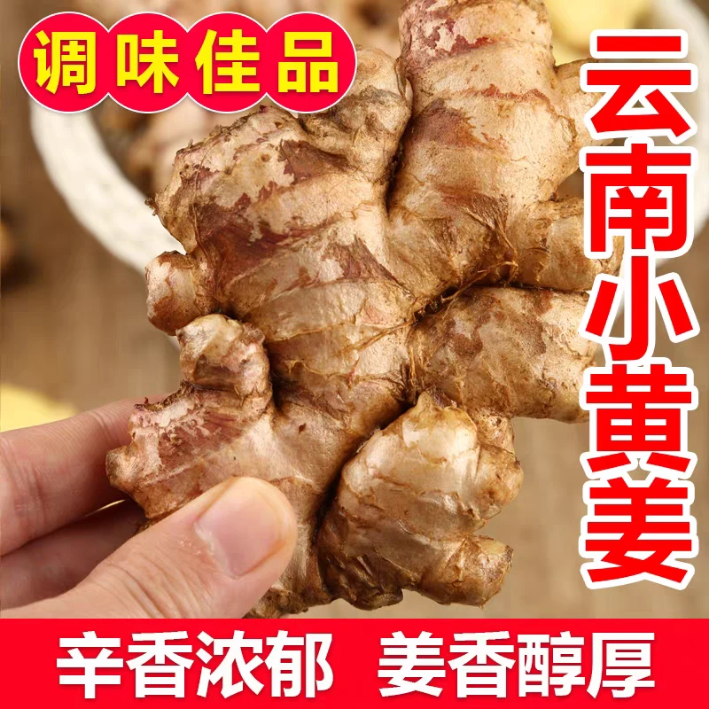 【现挖现发》正宗云南高山冷泉镇小黄姜一年半老姜