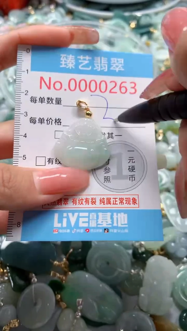 翡翠未镶嵌吊坠(不含链)263