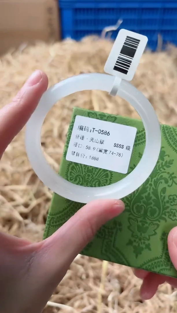 未镶嵌手镯石英质玉T-0586