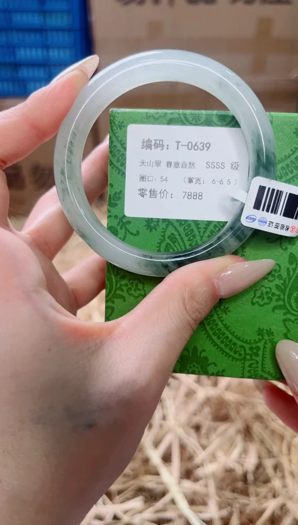 未镶嵌手镯石英质玉T-0639