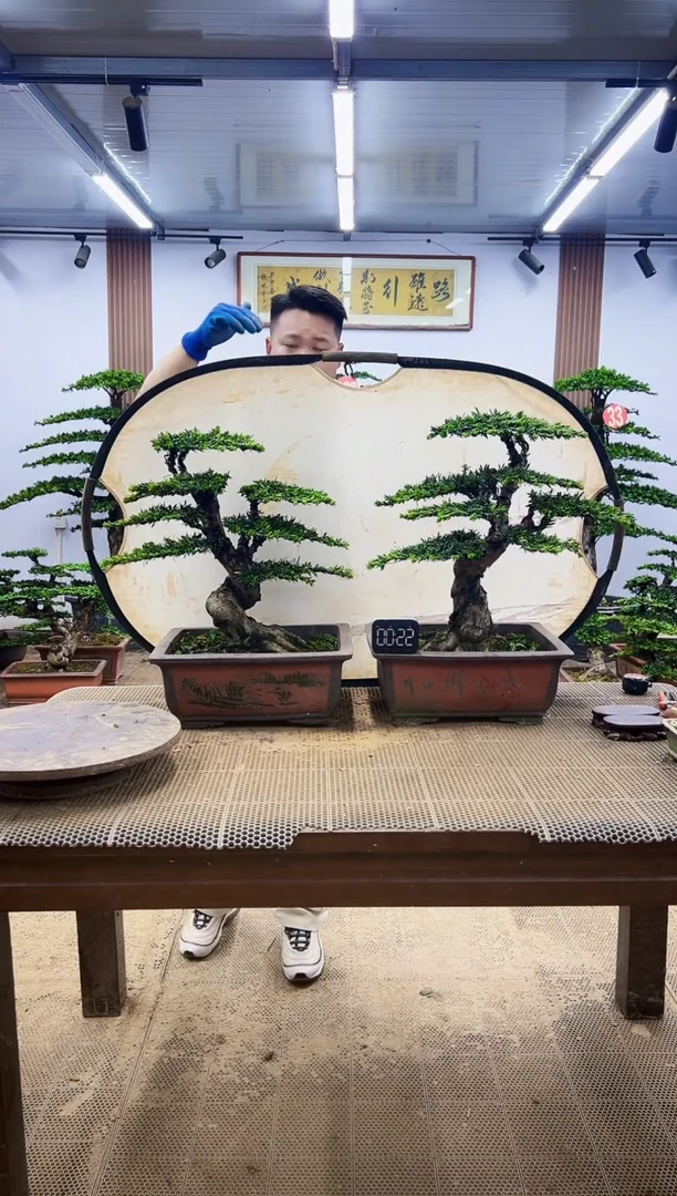 无花朵一物一拍，所见即所得