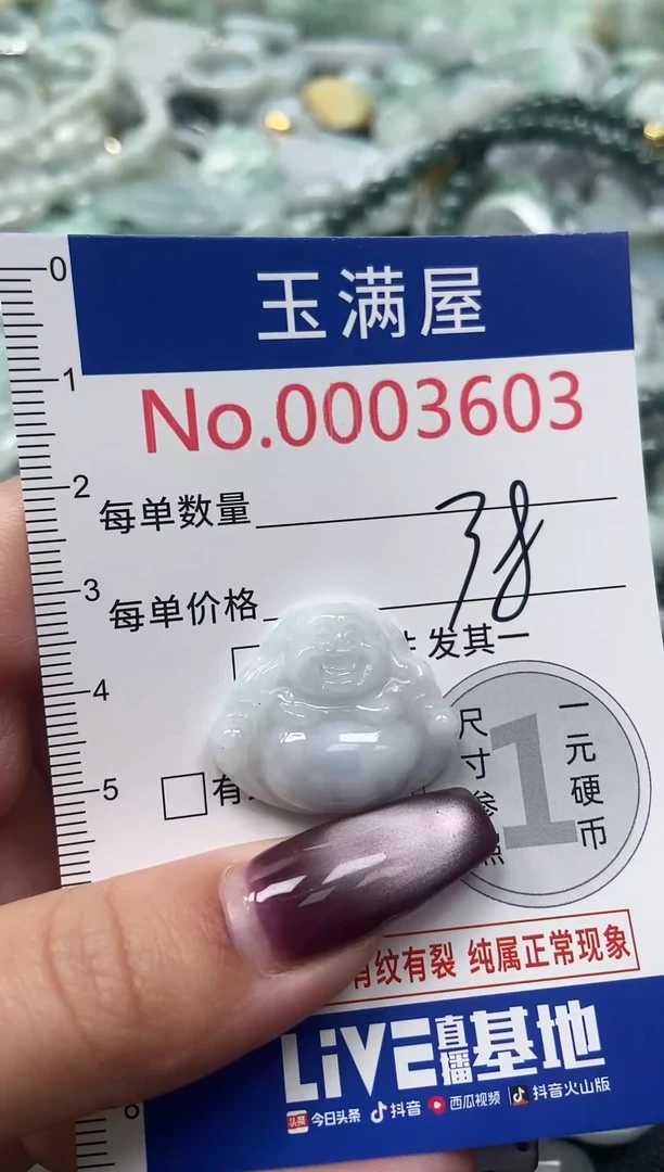 颈饰未镶嵌翡翠3603