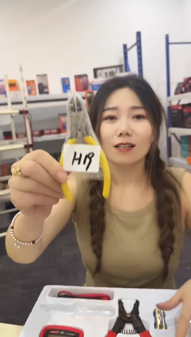 H19