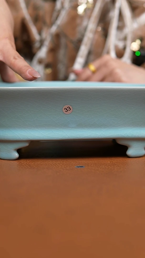 盘仿古天青水仙盆33