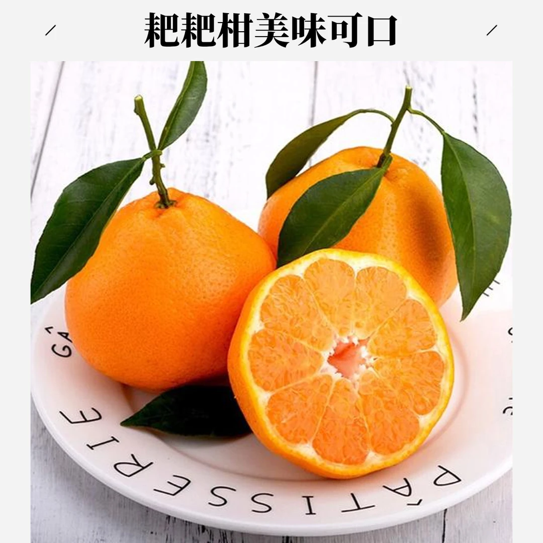 四川佳佳甜耙耙柑一份约1000g耙耙柑四川省七台河市