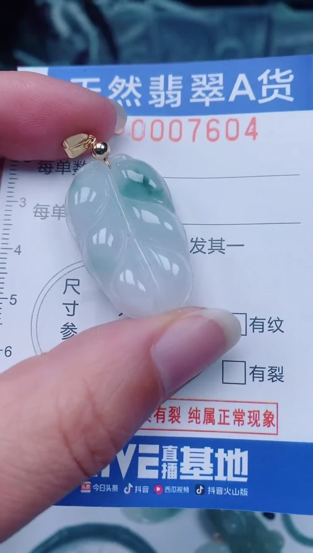 颈饰未镶嵌翡翠000007604
