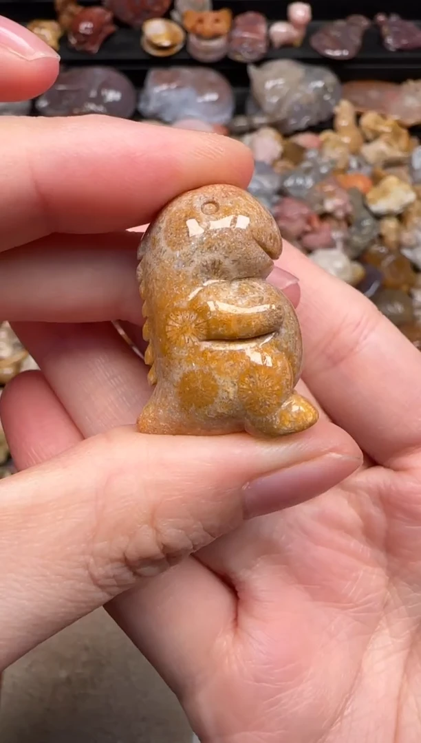 硅化珊瑚（珊瑚玉）未镶嵌颈饰643