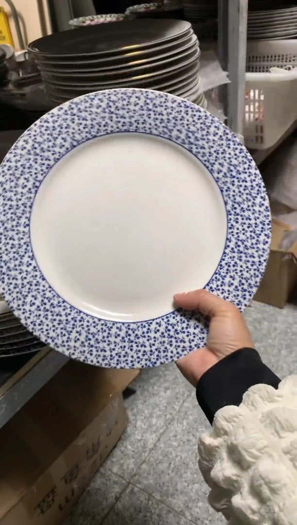 【闪购商品】瓷片CC815陶瓷没有完美无瑕陶瓷1个大