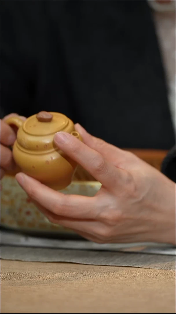 茶壶紫砂听蝉壶11111