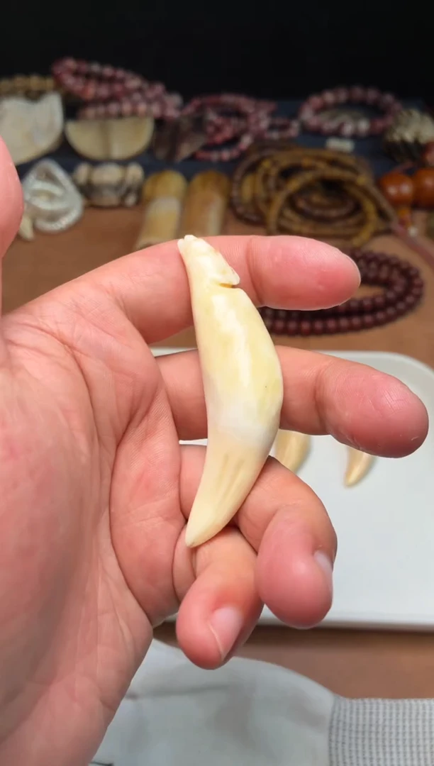 骆驼牙把件染*夕杂件190-微瑕骆驼牙