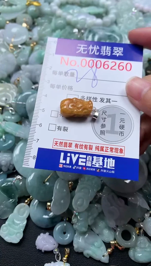 颈饰未镶嵌翡翠6260