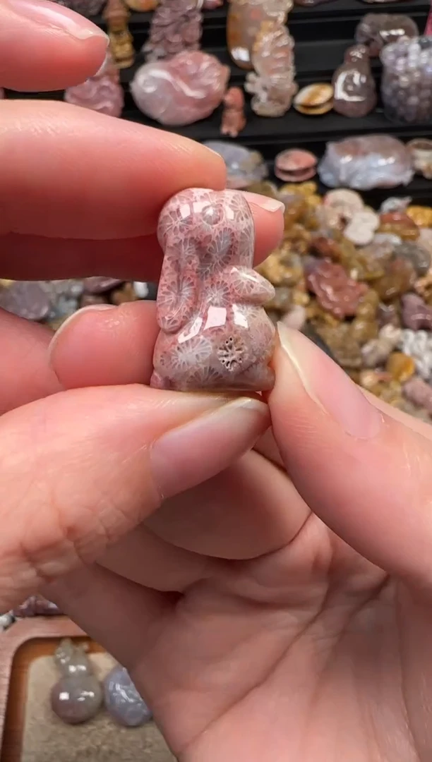 颈饰未镶嵌硅化珊瑚（珊瑚玉）914