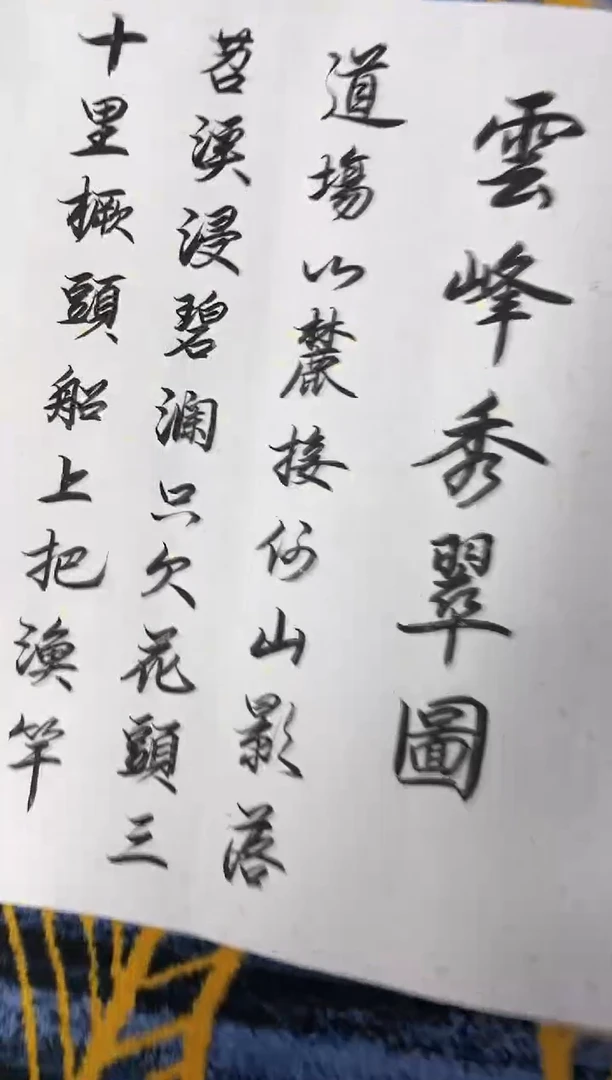 【闪购商品】国画张巨富   山水册页