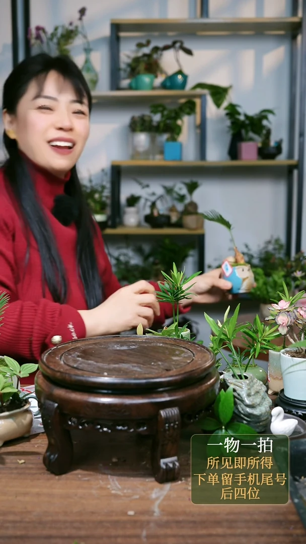 【闪购商品】146--9340铁树猫头鹰