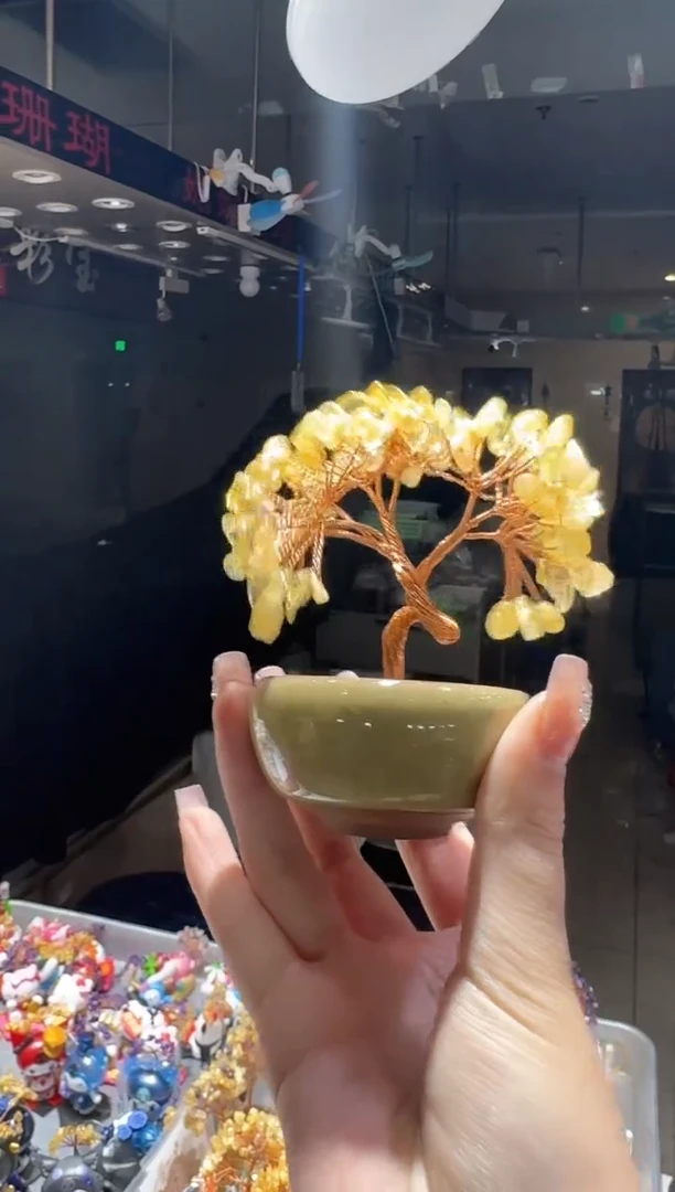 【闪购商品】水晶树未镶嵌多样性发一件 345