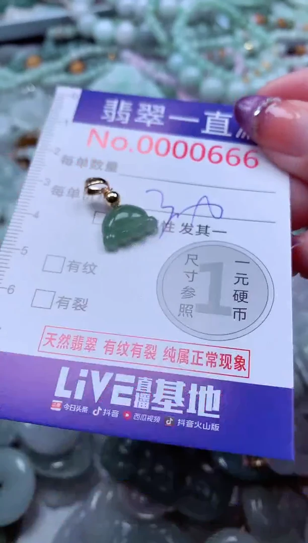 翡翠未镶嵌吊坠(不含链)666