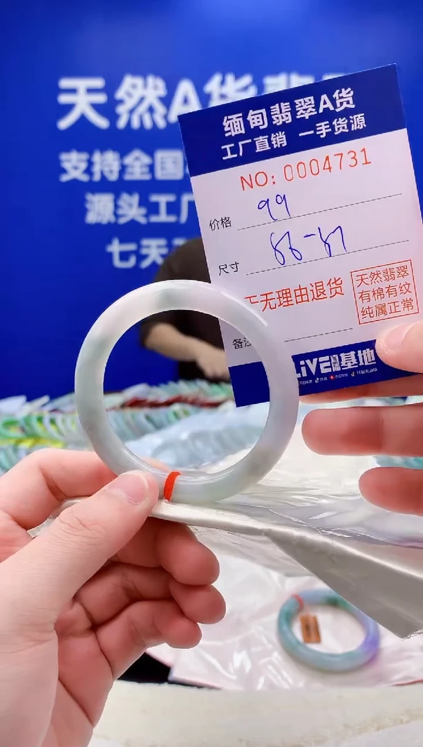 未镶嵌手镯翡翠31