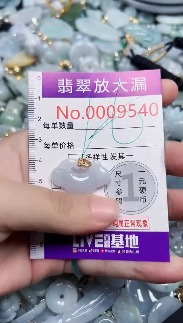 颈饰未镶嵌翡翠9540